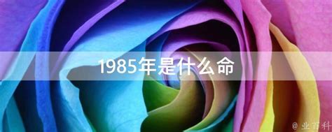 1985年是什么命|1985年出生是什么命